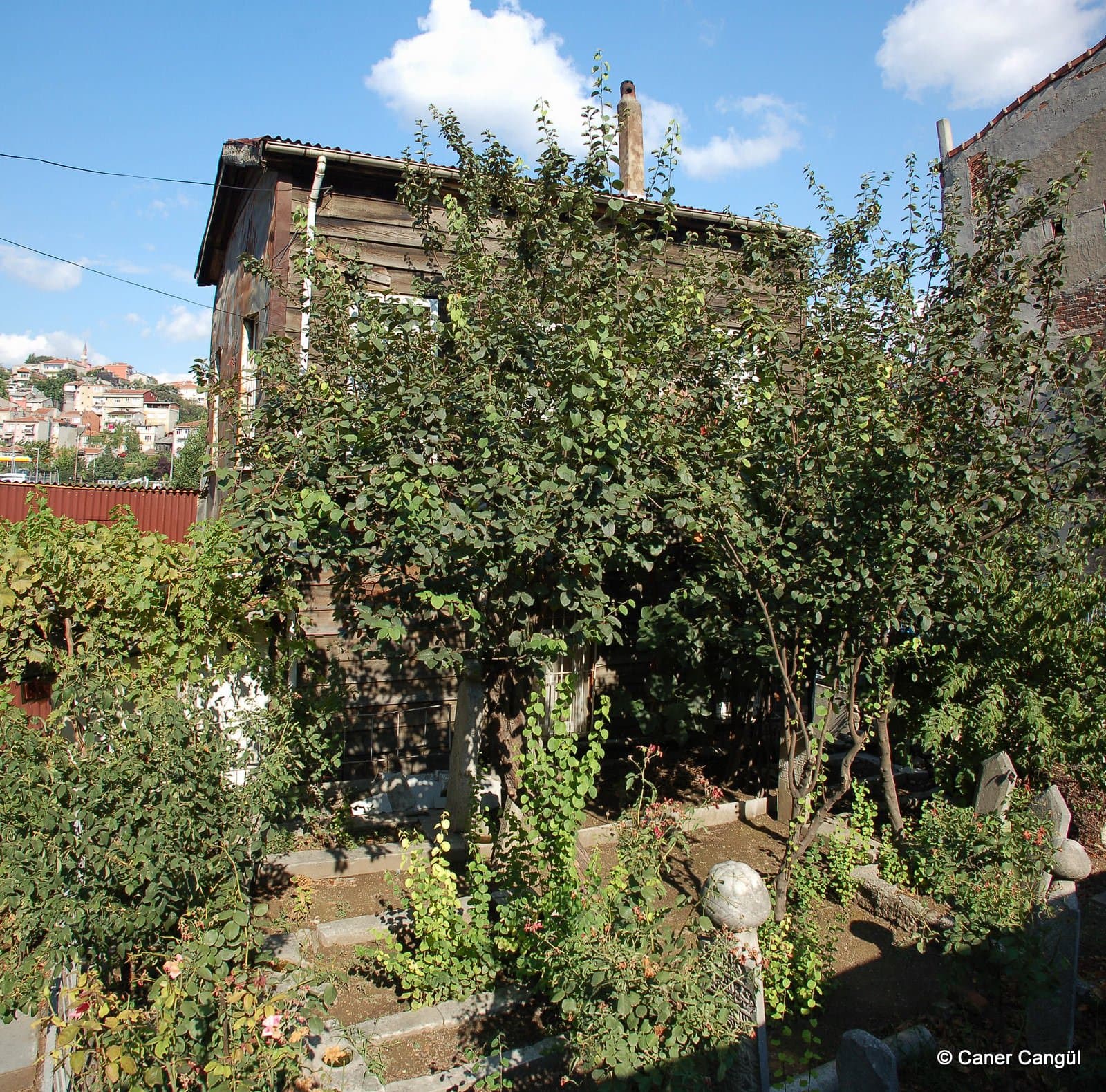 Paşmakçı Tekkesi Haziresi