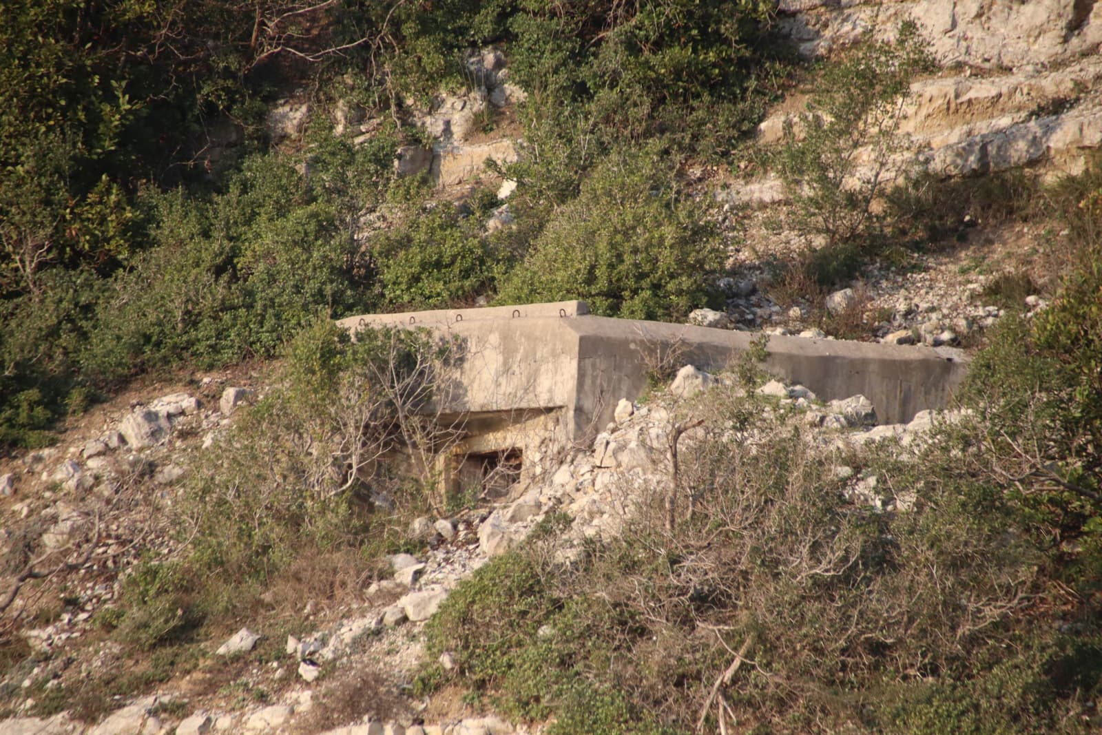 Korugan, Ağva