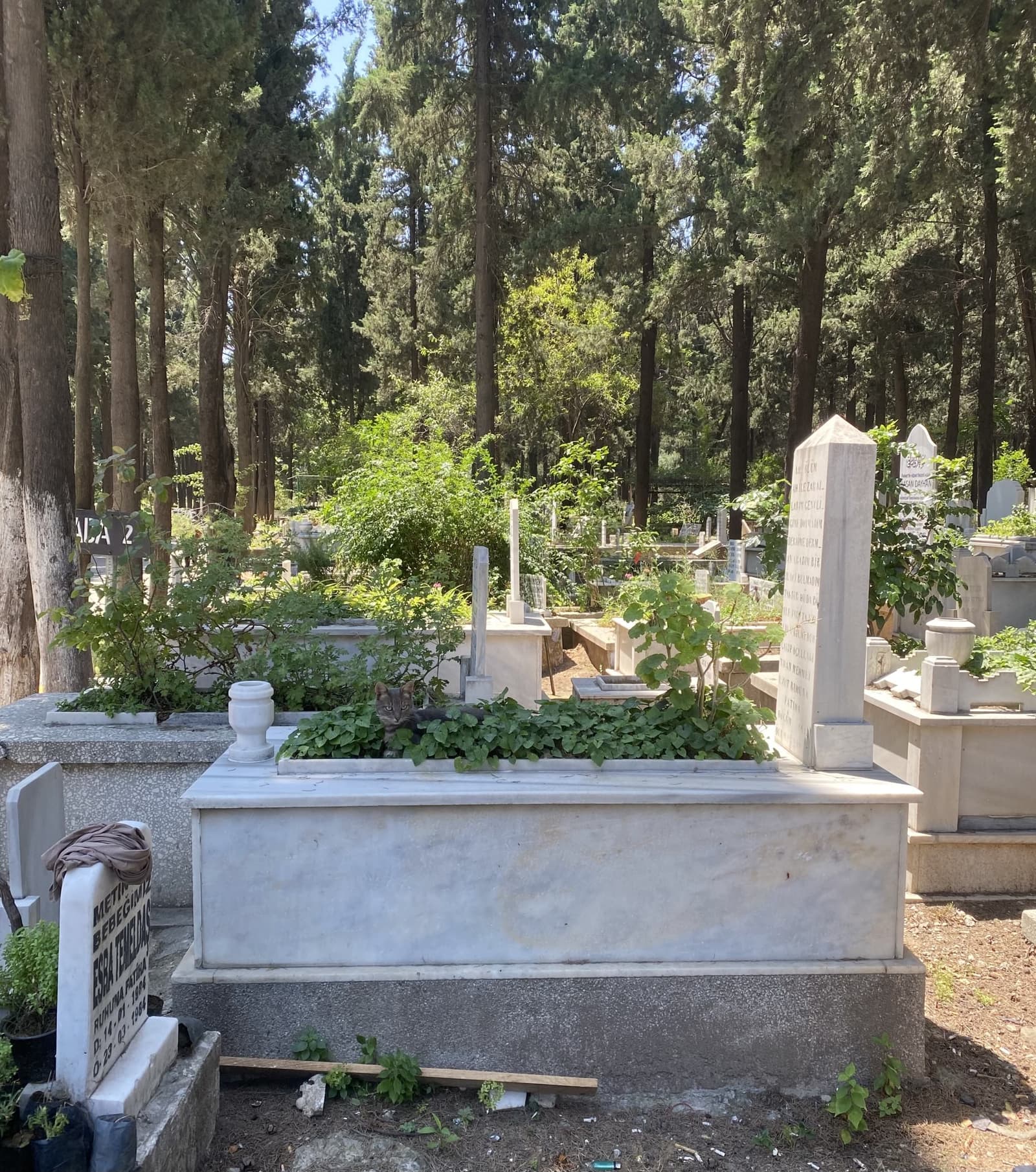 Paşaköprü Katolik Mezarlığı
