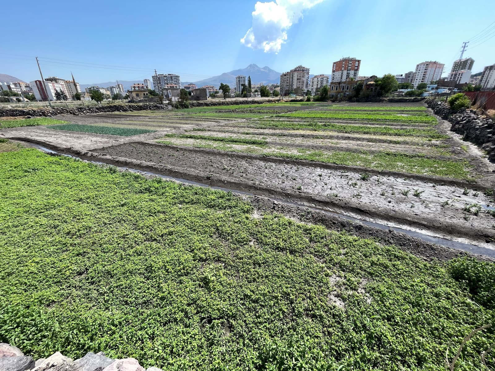 Büyük Bahçe, Kayseri