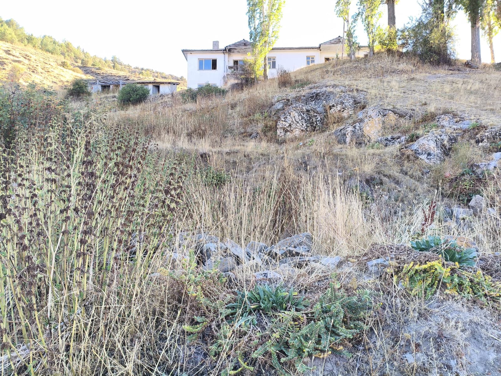 Çat Köyü Ermeni Kilisesi