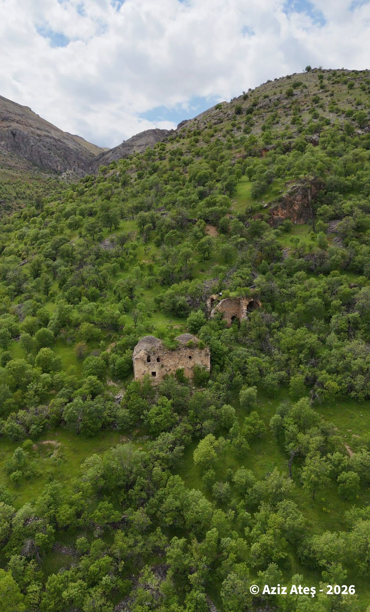 Arapgir Hankahı