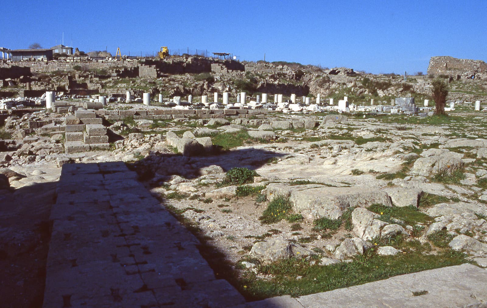 Athena Tapınağı