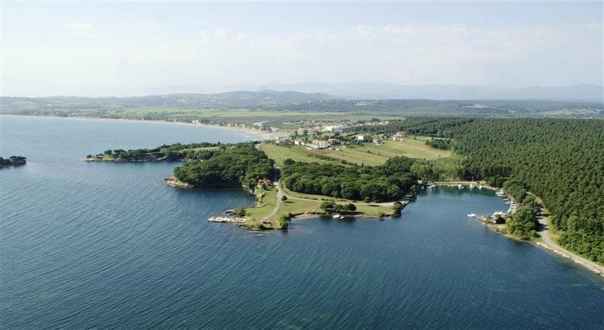 Akliman