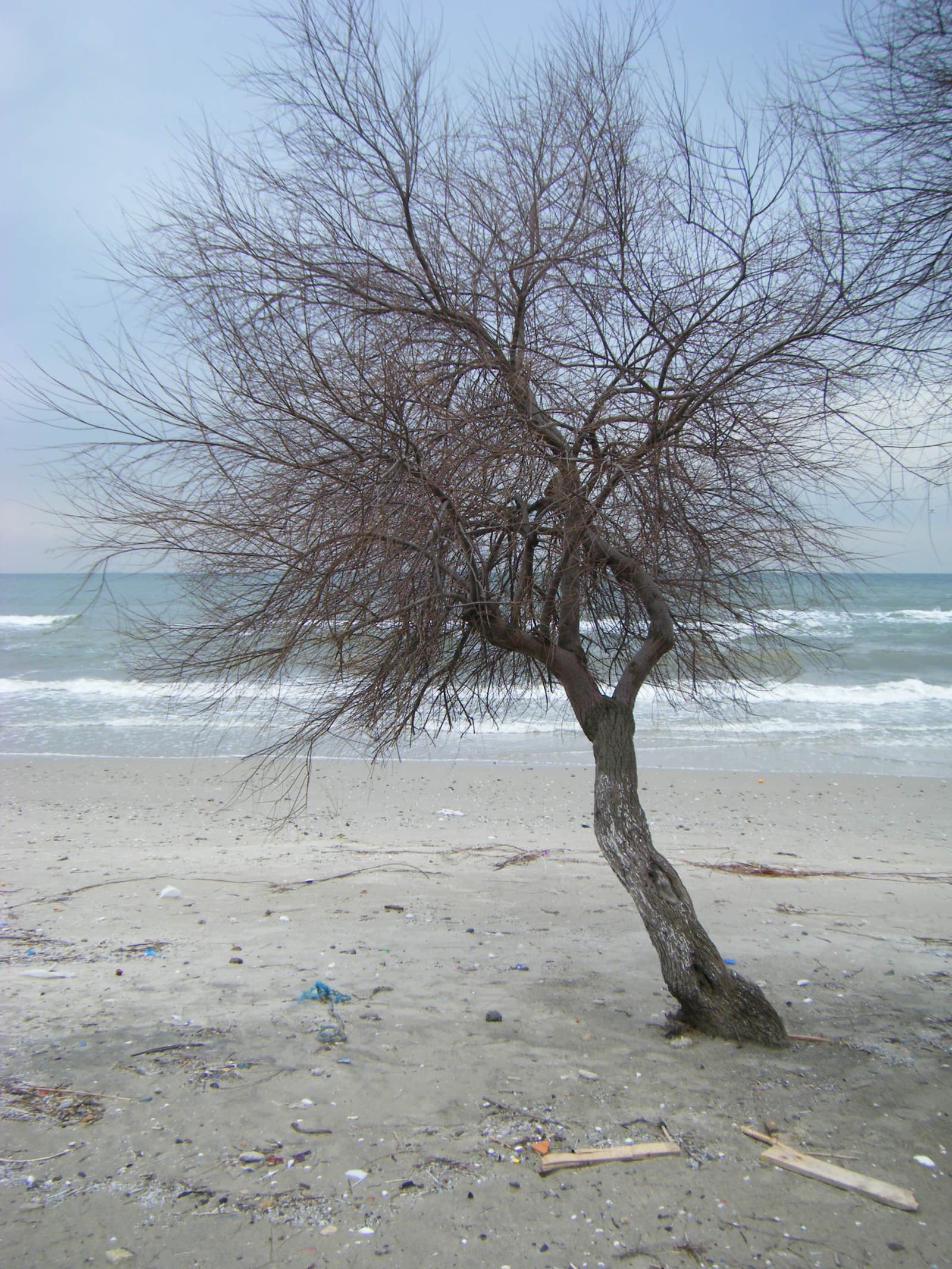 Menekşe Beach